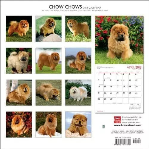 (12x12) Chow Chows - 2013 Wall Calendar