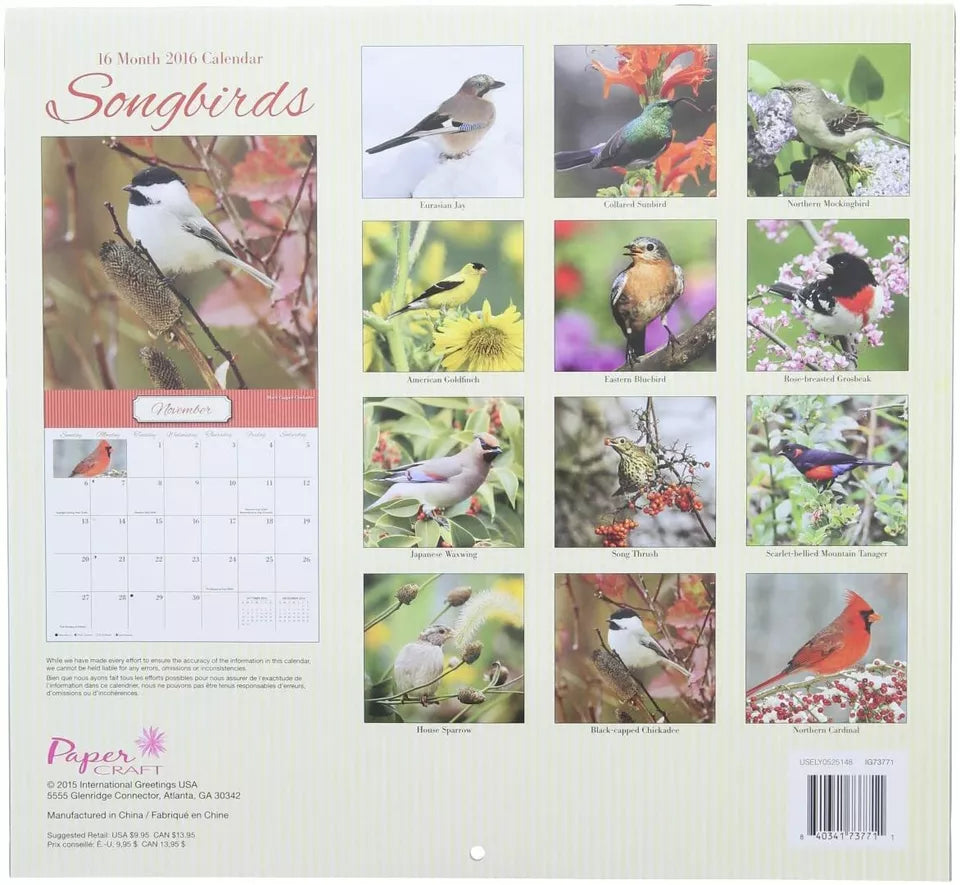 2016 Songbirds 16 Month Wall Calendar