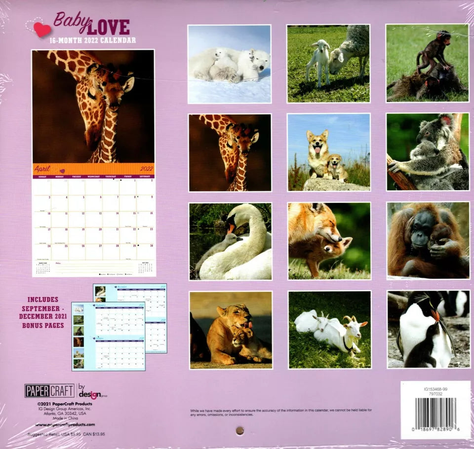 2022 16 Month Wall Calendar - Baby Love