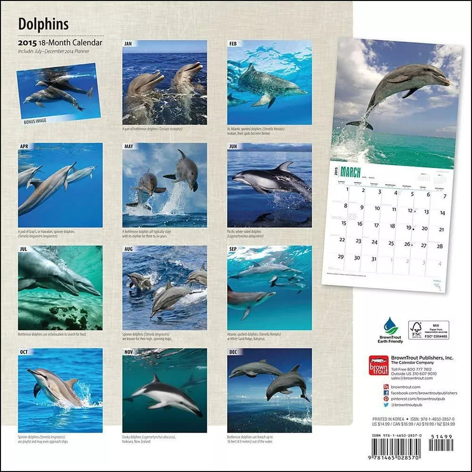 Dolphins 2015 Wall Calendar