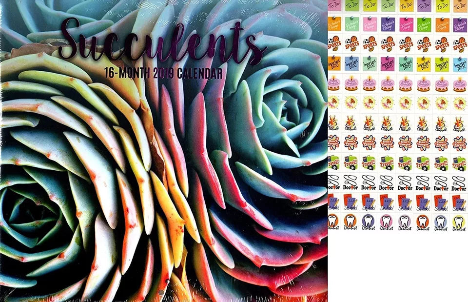 16 Month 2019 Wall Calendar - Succulents - with 120 Stickers