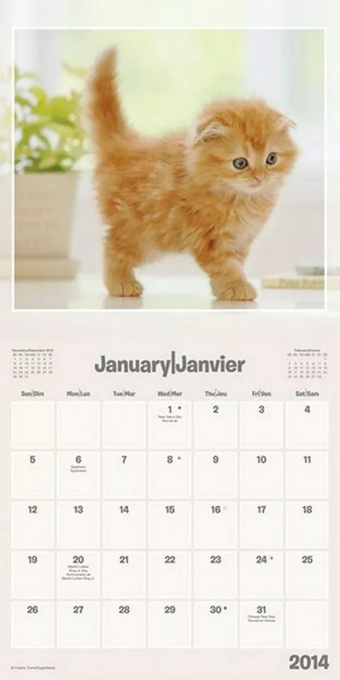 Cuddly Kittens 2014 Bilingual Mini Calendar