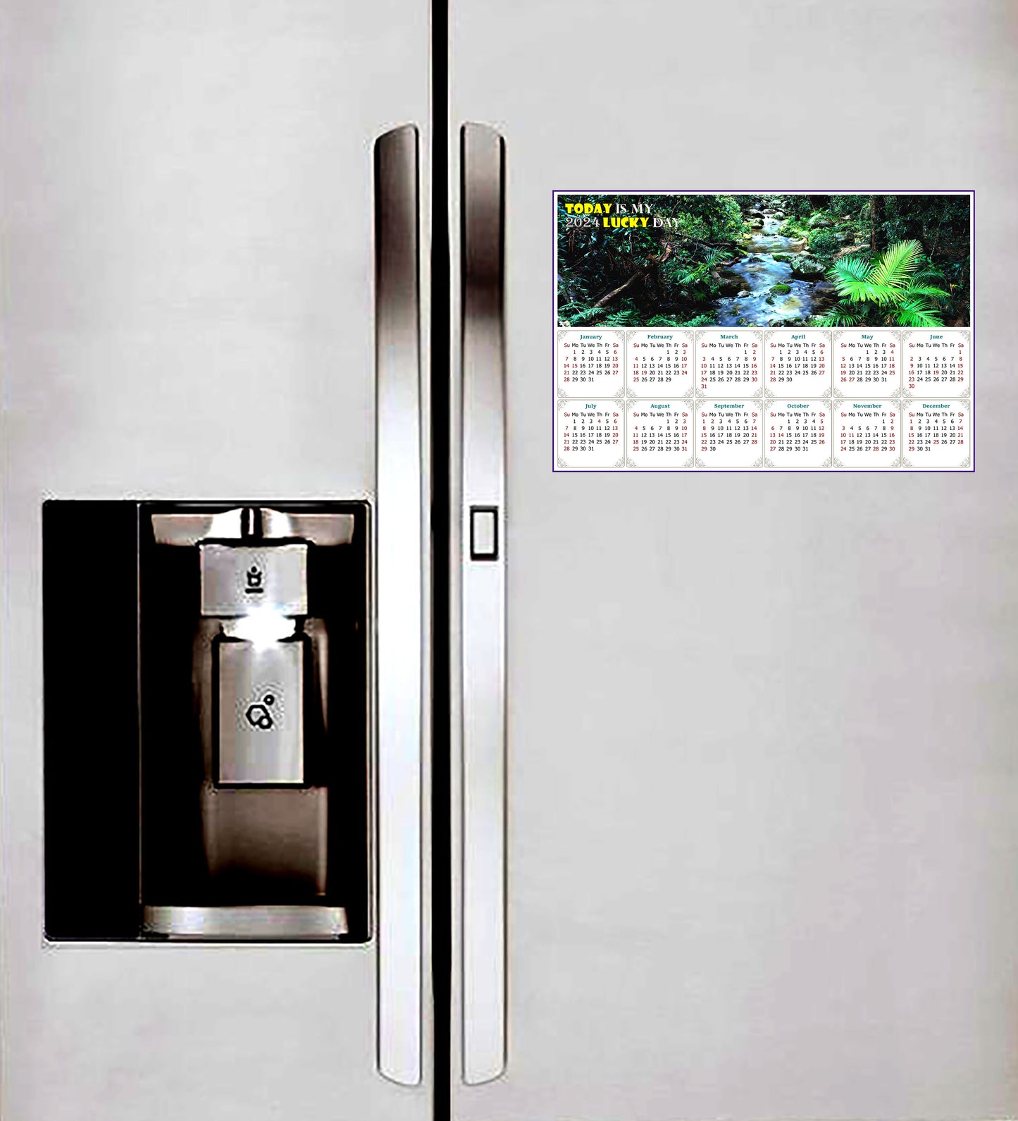 2024 Magnetic Calendar - Calendar Magnets - Today is My Lucky Day (Daintree National Park)
