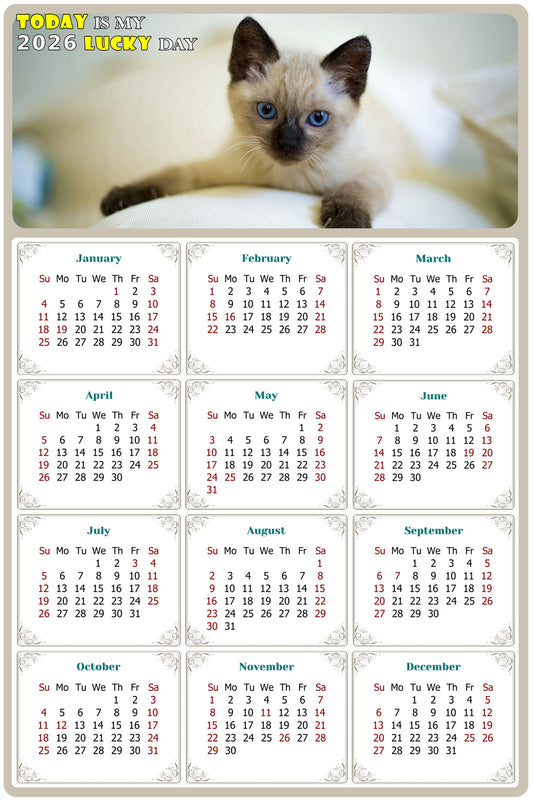 2026 Magnetic Calendar - Today is My Lucky Day (Fade, Tear, and Water Resistant)- Cat Themed 013