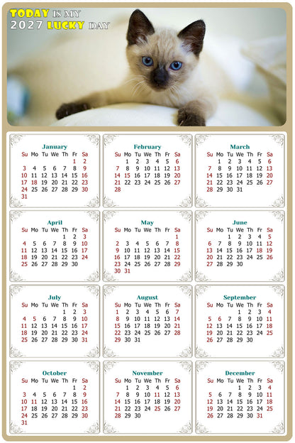 2027 Peel & Stick Calendar - Today is my Lucky Day Removable - Cat 013 (9"x 6")