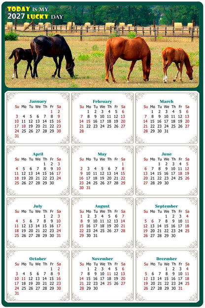 2027 Peel & Stick Calendar - Today is my Lucky Day Removable - Horses 010 (9"x 6")