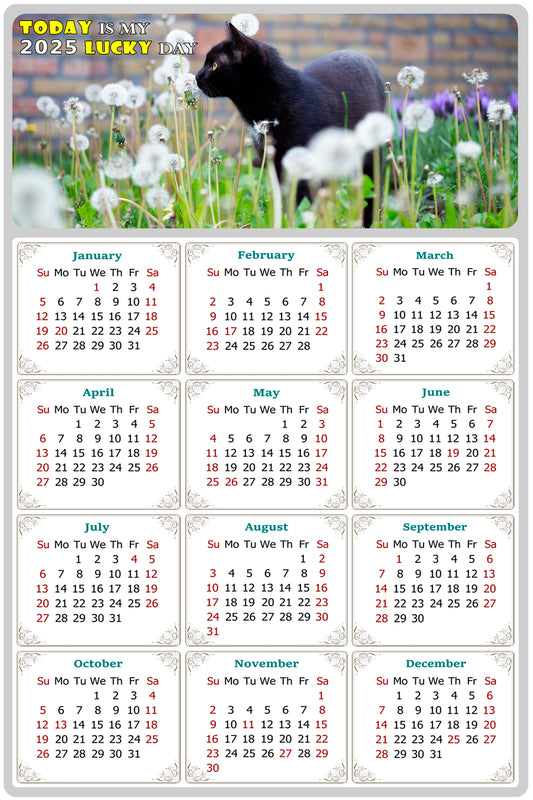 2025 Peel & Stick Calendar - Today is my Lucky Day Removable - Cat 05 (9"x 6")