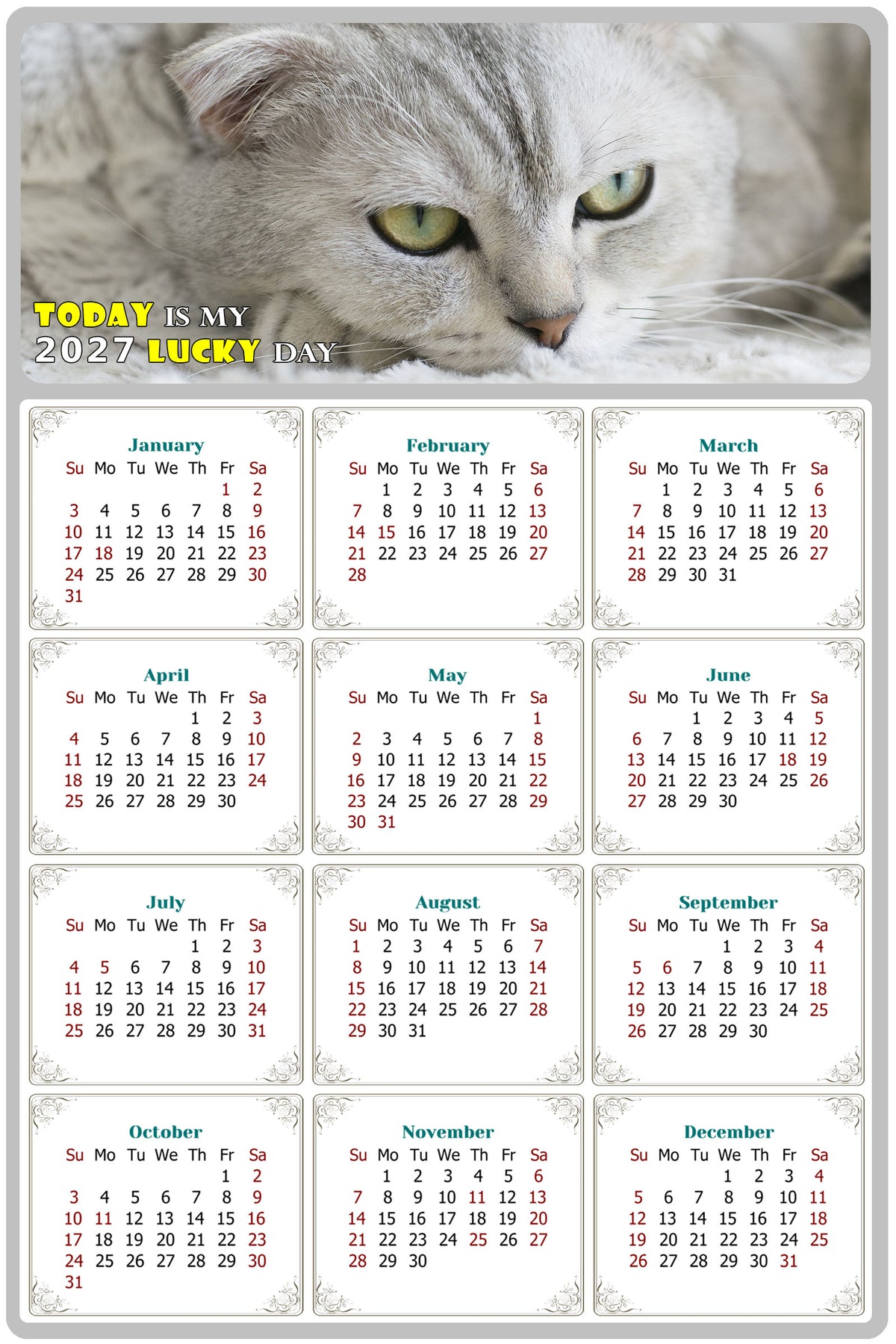 2027 Magnetic Calendar - Today is My Lucky Day (Fade, Tear, and Water Resistant)- Cat Themed 01