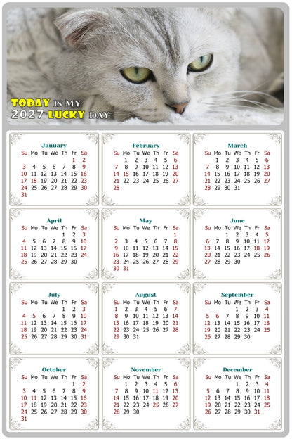2027 Magnetic Calendar - Today is My Lucky Day (Fade, Tear, and Water Resistant)- Cat Themed 01