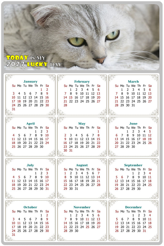 2027 Magnetic Calendar - Today is My Lucky Day (Fade, Tear, and Water Resistant)- Cat Themed 01