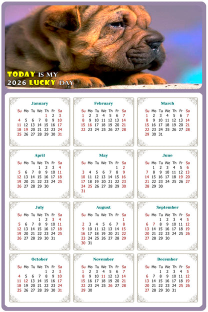 2026 Magnetic Calendar - Today is My Lucky Day (Fade, Tear, and Water Resistant)- Dogs Themed 012