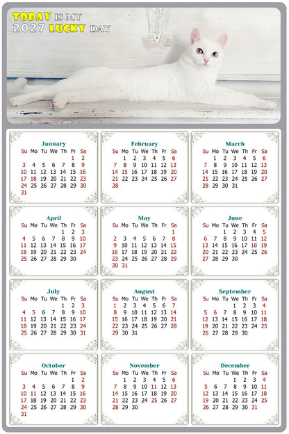 2027 Peel & Stick Calendar - Today is my Lucky Day Removable - Cat 06 (9"x 6")