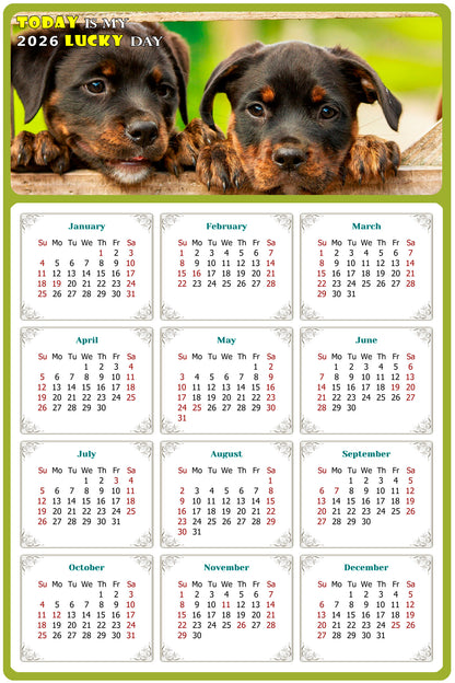 2026 Magnetic Calendar - Today is My Lucky Day (Fade, Tear, and Water Resistant)- Dogs Themed 04