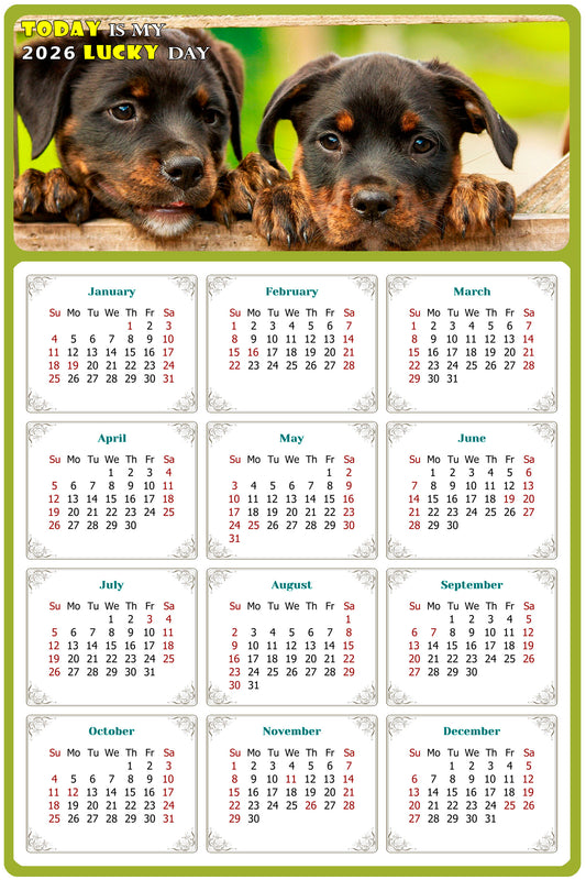 2026 Magnetic Calendar - Today is My Lucky Day (Fade, Tear, and Water Resistant)- Dogs Themed 04