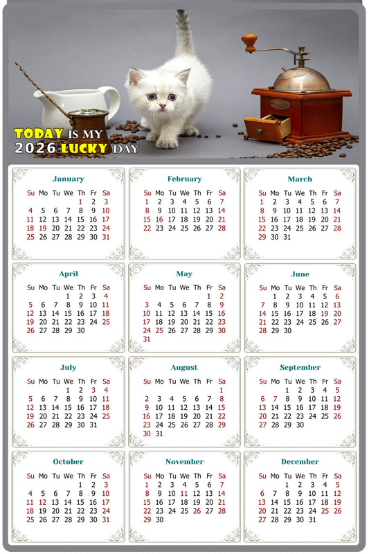 2026 Peel & Stick Calendar - Today is my Lucky Day Removable - Cat 019 (9"x 6")