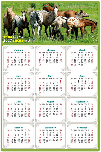 2027 Peel & Stick Calendar - Today is my Lucky Day Removable - Horses 02 (12"x 8")