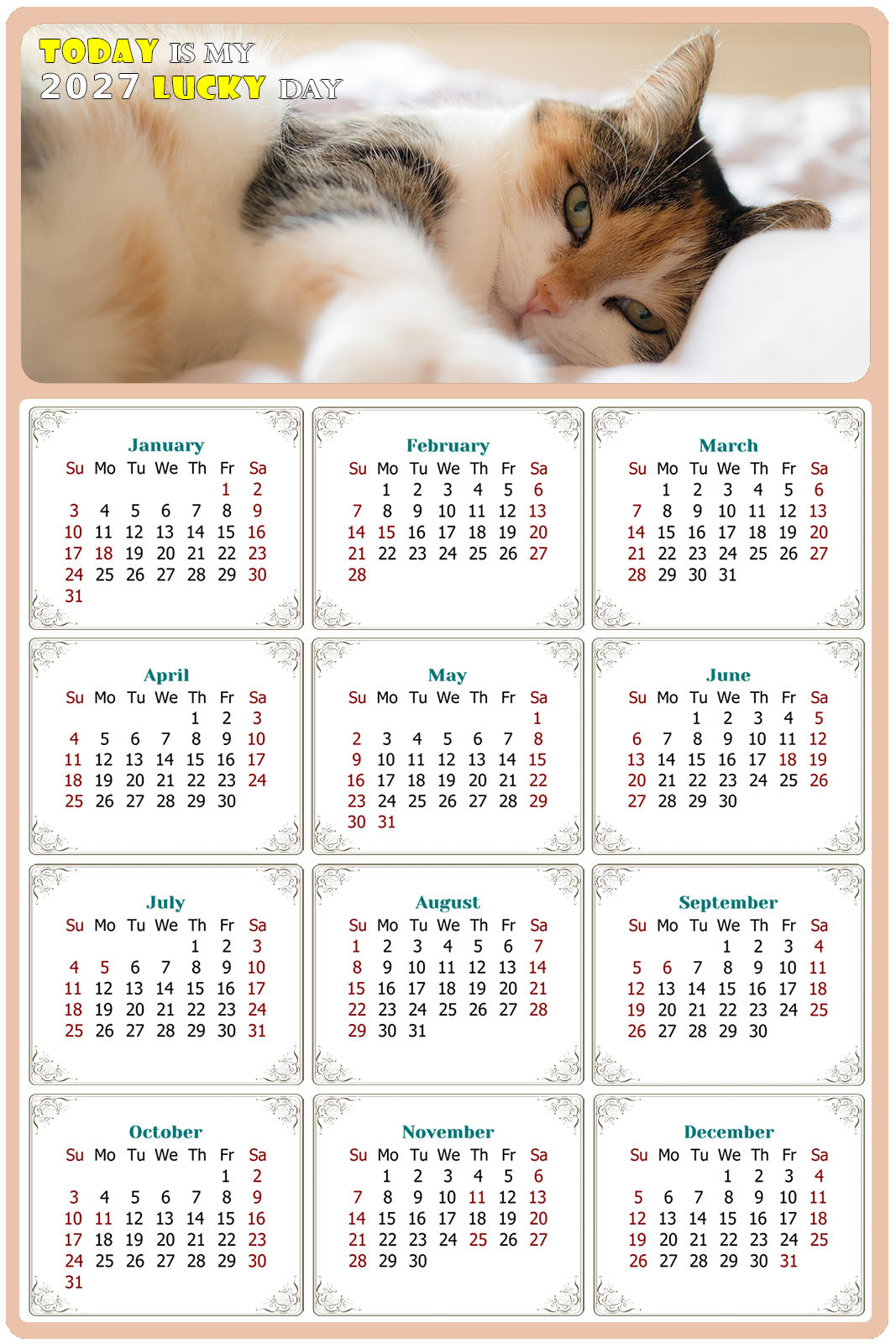 2027 Peel & Stick Calendar - Today is my Lucky Day Removable - Cat 04 (12"x 8")