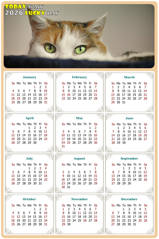 2026 Magnetic Calendar - Today is My Lucky Day (Fade, Tear, and Water Resistant)- Cat Themed 012