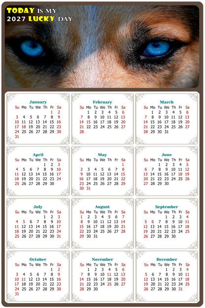 2027 Magnetic Calendar - Today is My Lucky Day (Fade, Tear, and Water Resistant)- Dogs Themed 03