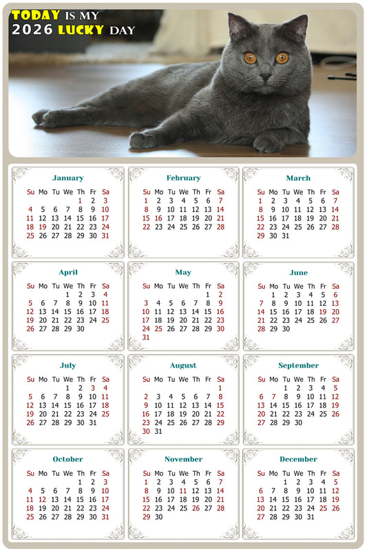 2026 Magnetic Calendar - Today is My Lucky Day (Fade, Tear, and Water Resistant)- Cat Themed 014