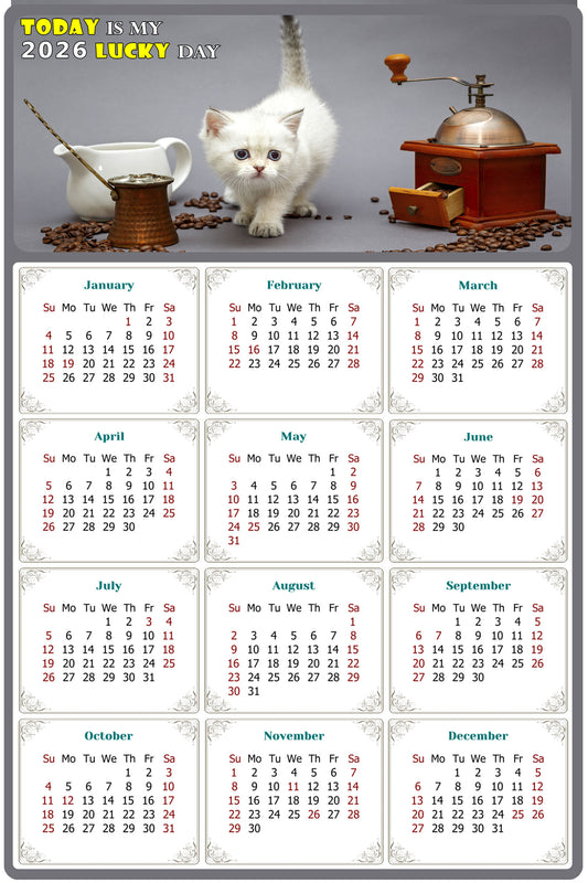 2026 Magnetic Calendar - Today is My Lucky Day (Fade, Tear, and Water Resistant)- Cat Themed 019