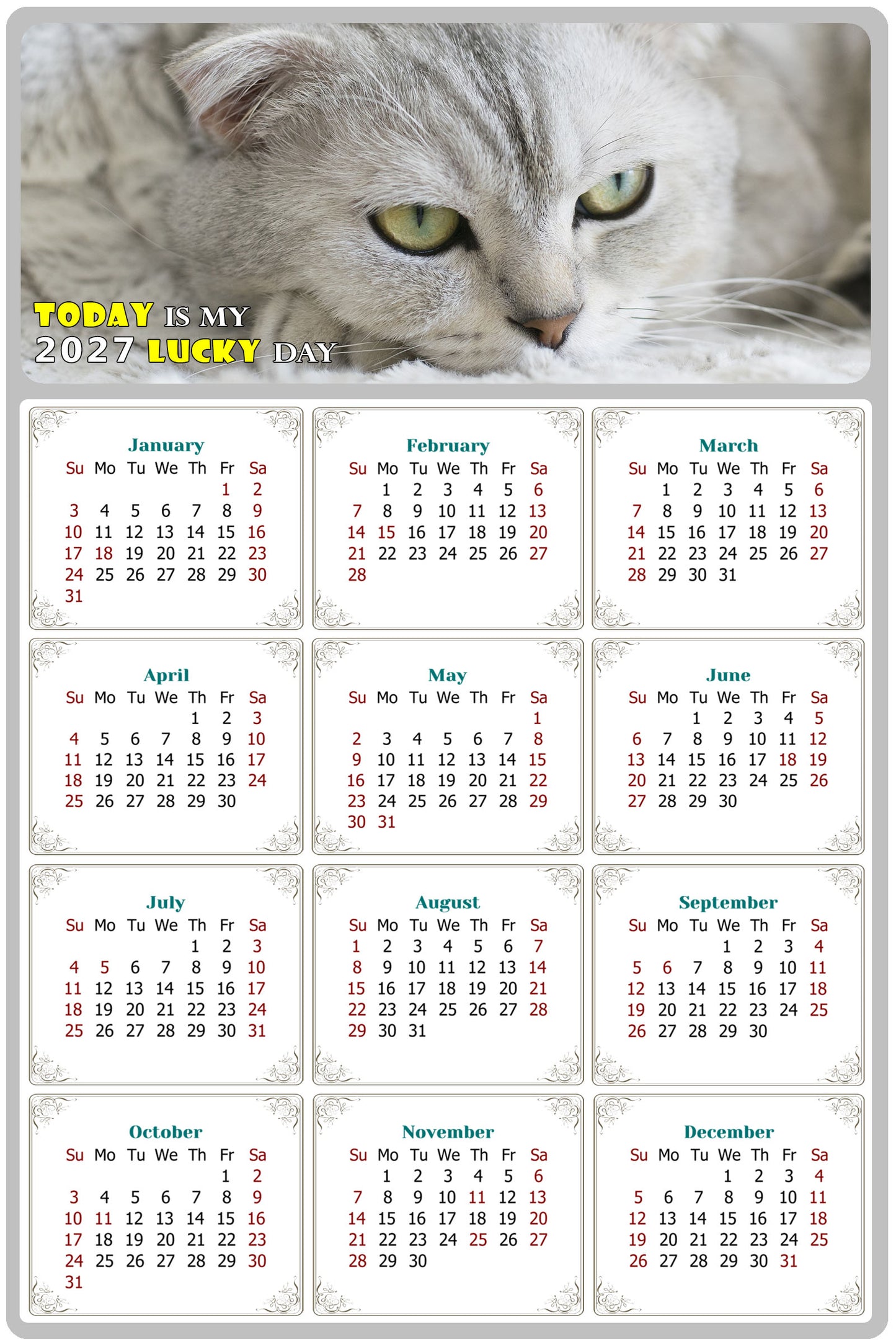 2027 Peel & Stick Calendar - Today is my Lucky Day Removable - Cat 01 (9"x 6")
