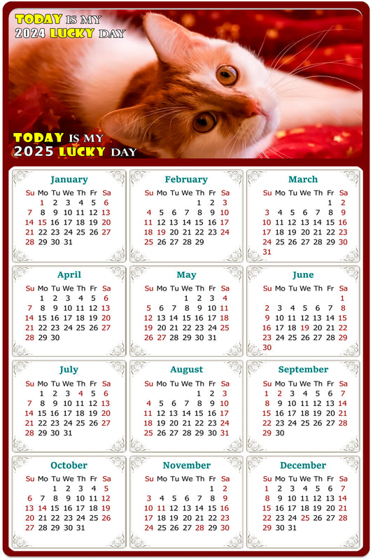 2025 Peel & Stick Calendar - Today is my Lucky Day Removable - Cat 07 (9"x 6")