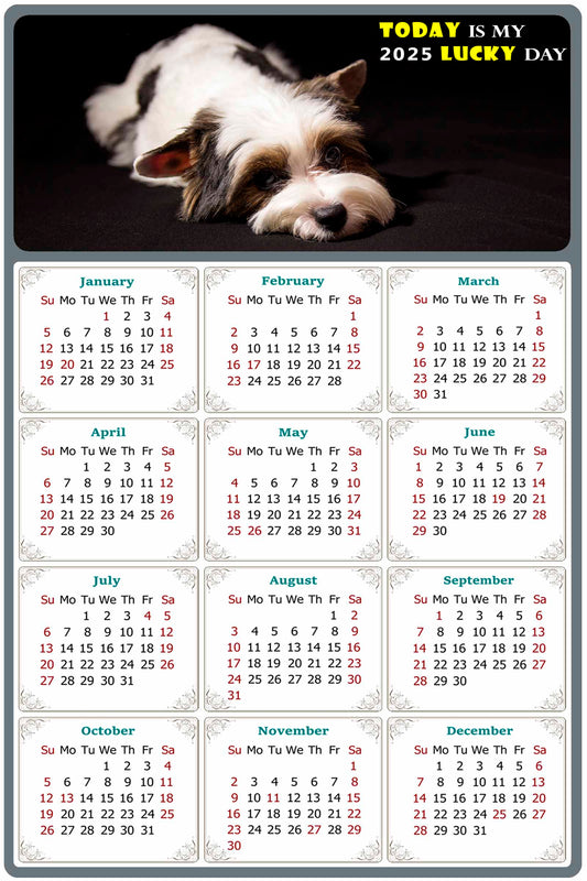 2025 Peel & Stick Calendar - Today is my Lucky Day Removable - Dogs 018 (12"x 8")