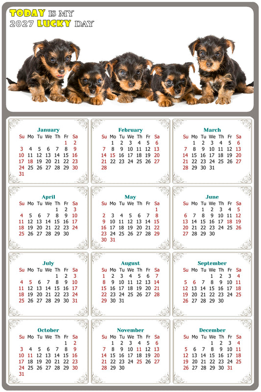 2027 Magnetic Calendar - Today is My Lucky Day (Fade, Tear, and Water Resistant)- Dogs Themed 016