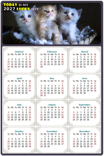 2027 Peel & Stick Calendar - Today is my Lucky Day Removable - Cat 011 (12"x 8")