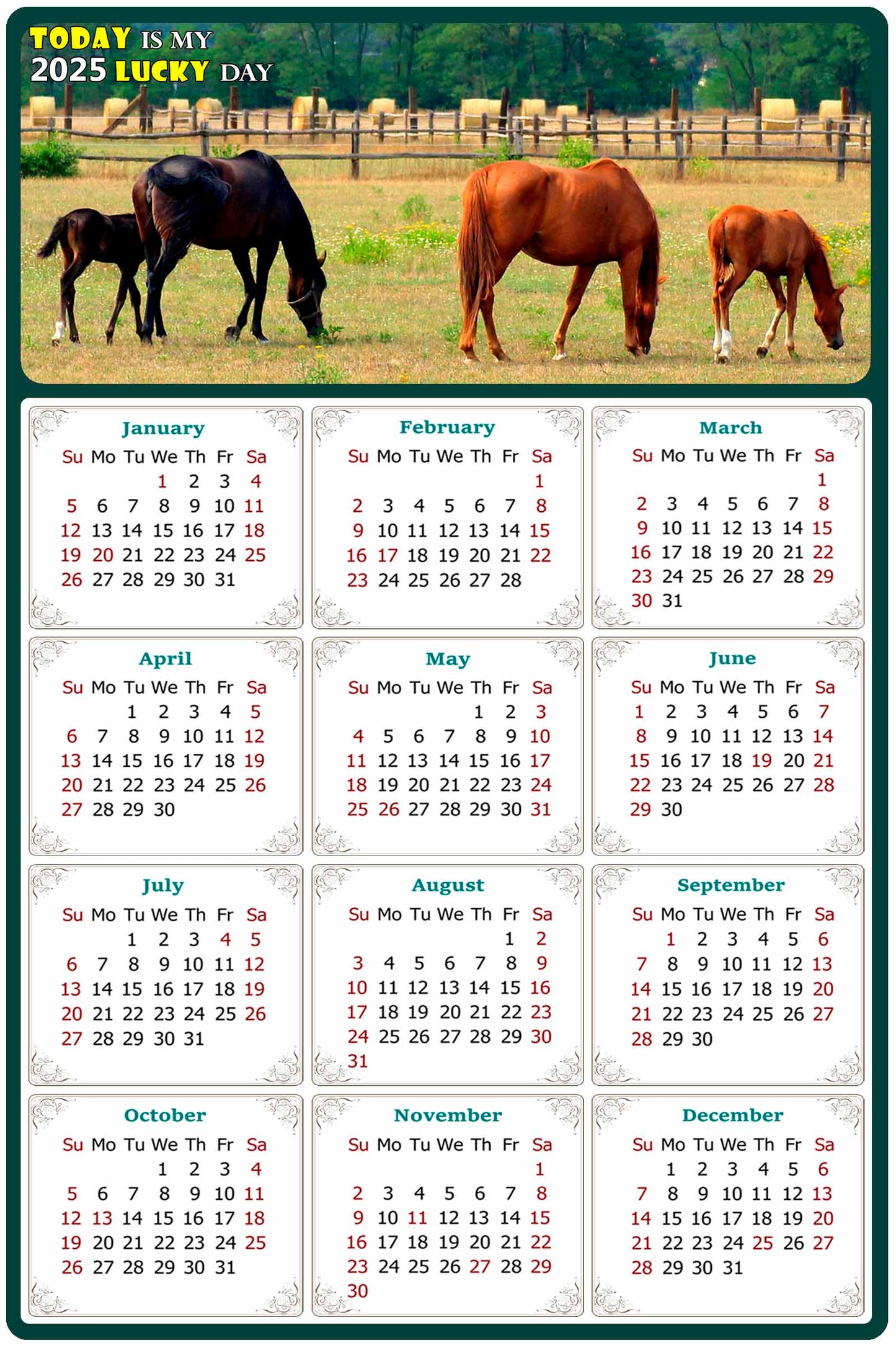 2025 Magnetic Calendar - Calendar Magnets - Today is my Lucky Day - (Fade, Tear, and Water Resistant) - Horses Themed 010