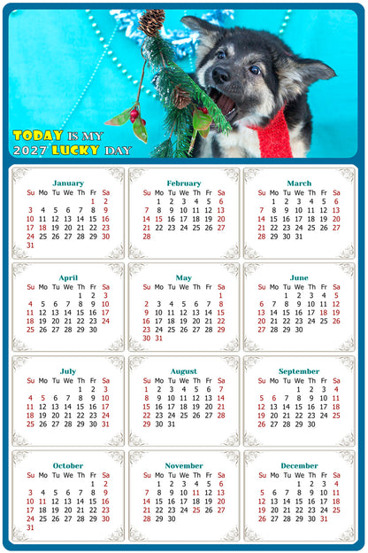 2027 Magnetic Calendar - Today is My Lucky Day (Fade, Tear, and Water Resistant)- Dogs Themed 020