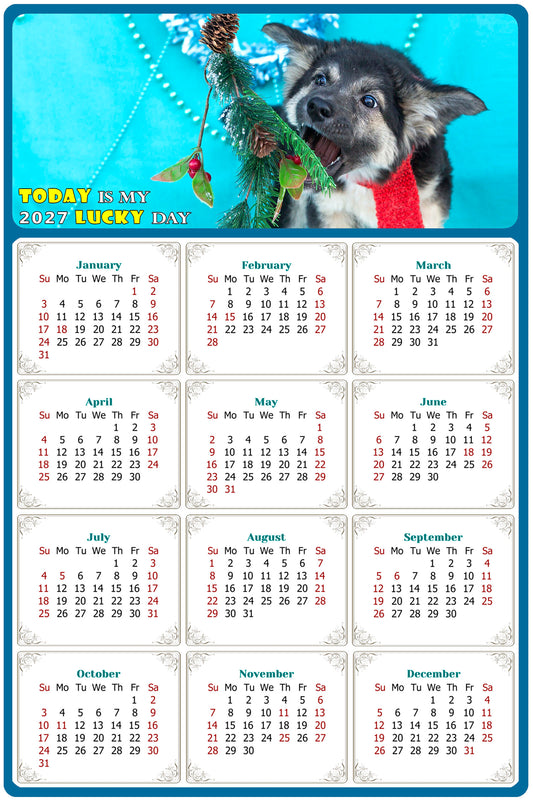 2027 Magnetic Calendar - Today is My Lucky Day (Fade, Tear, and Water Resistant)- Dogs Themed 020