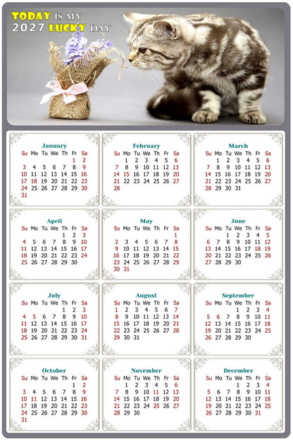 2027 Peel & Stick Calendar - Today is my Lucky Day Removable - Cat 025 (9"x 6")