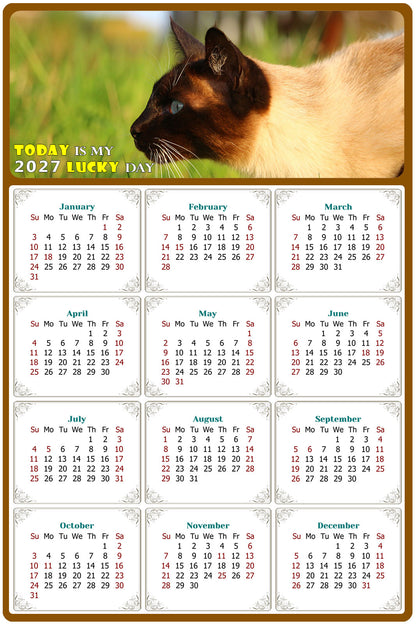 2027 Peel & Stick Calendar - Today is my Lucky Day Removable - Cat 03 (12"x 8")