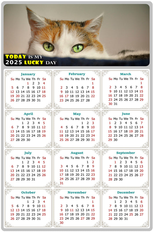 2025 Peel & Stick Calendar - Today is my Lucky Day Removable - Cat 012 (12"x 8")