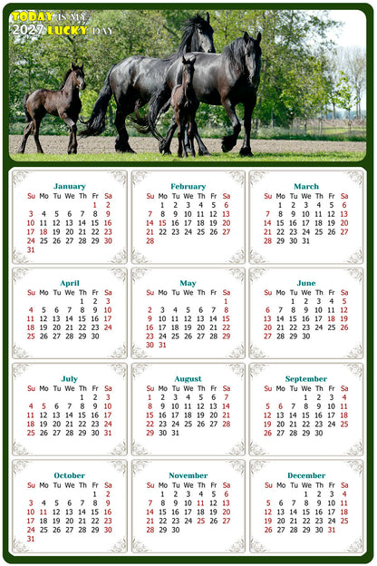2027 Peel & Stick Calendar - Today is my Lucky Day Removable - Horses 05 (9"x 6")