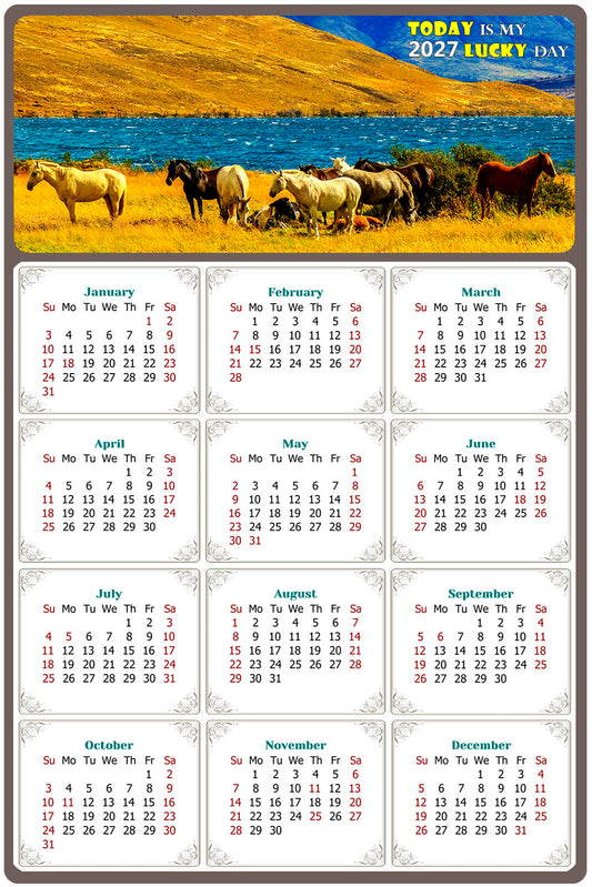 2027 Magnetic Calendar - Calendar Magnets - Today is my Lucky Day - (Fade, Tear, and Water Resistant) - Horses Themed 012