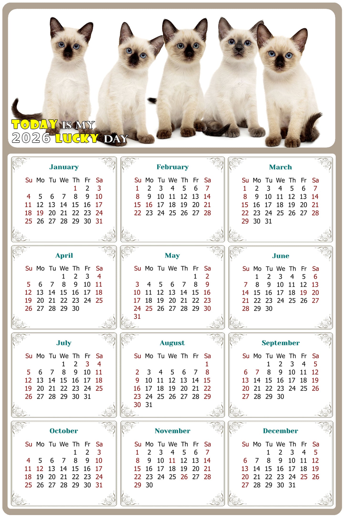 2026 Magnetic Calendar - Today is My Lucky Day (Fade, Tear, and Water Resistant)- Cat Themed 020