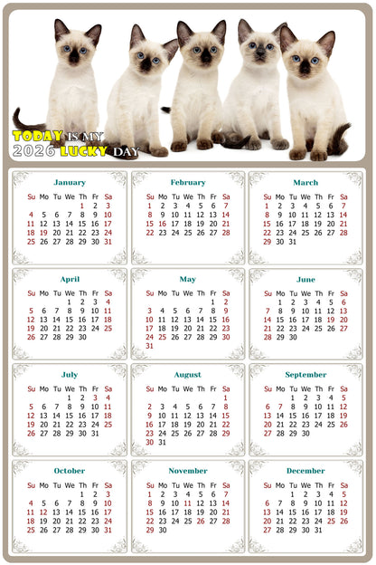 2026 Magnetic Calendar - Today is My Lucky Day (Fade, Tear, and Water Resistant)- Cat Themed 020