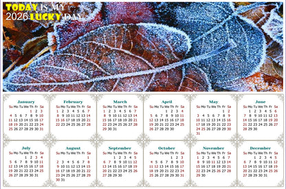 2026 Peel & Stick Calendar - Today is my Lucky Day - Removable, Repositionable - 036 (9"x 6")