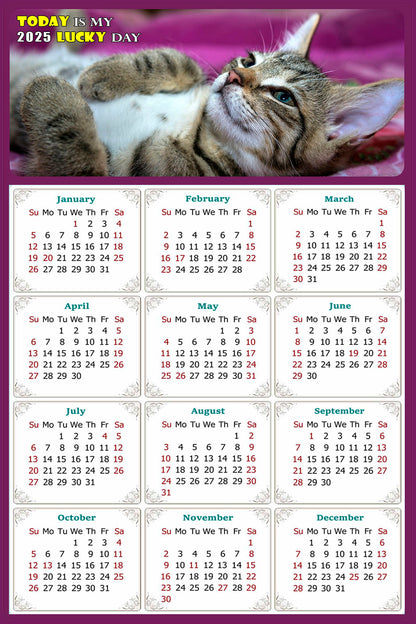 2025 Peel & Stick Calendar - Today is my Lucky Day Removable - Cat 08 (9"x 6")