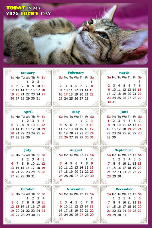 2025 Peel & Stick Calendar - Today is my Lucky Day Removable - Cat 08 (9"x 6")