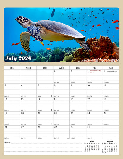 2026 - 2027 Calendar Magnetic Peel & Stick 18 Months 8.5" x 11" Turtles