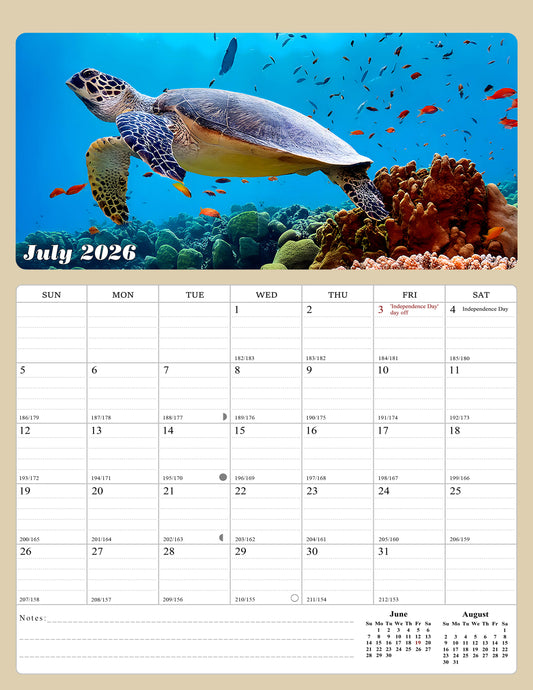 2026 - 2027 Calendar Magnetic Peel & Stick 18 Months 8.5" x 11" Turtles