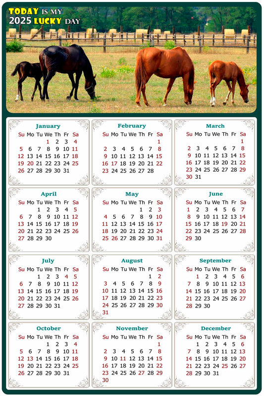 2025 Peel & Stick Calendar - Today is my Lucky Day Removable - Horses 010 (9"x 6")