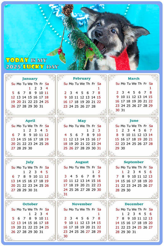 2025 Peel & Stick Calendar - Today is my Lucky Day Removable - Dogs 020 (12"x 8")