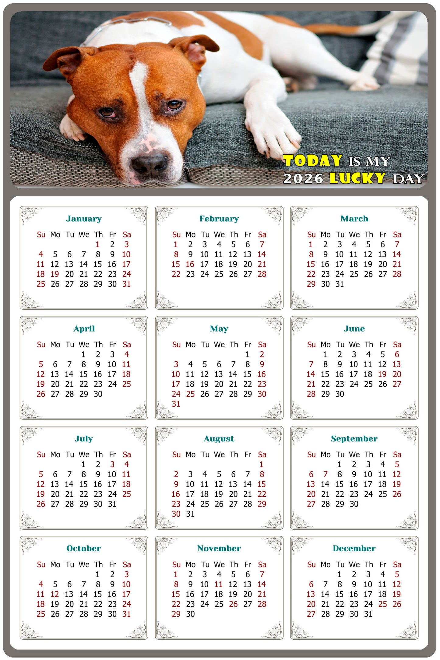 2026 Magnetic Calendar - Today is My Lucky Day (Fade, Tear, and Water Resistant)- Dogs Themed 017