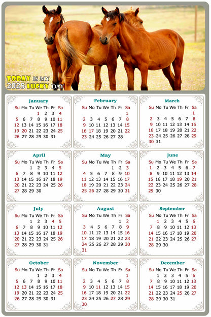 2025 Magnetic Calendar - Calendar Magnets - Today is my Lucky Day - (Fade, Tear, and Water Resistant) - Horses Themed 014