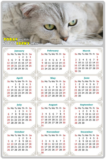 2025 Magnetic Calendar - Today is My Lucky Day (Fade, Tear, and Water Resistant)- Cat Themed 01